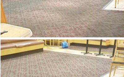 Regular Carpet Cleaning is Important for a Clean Home!