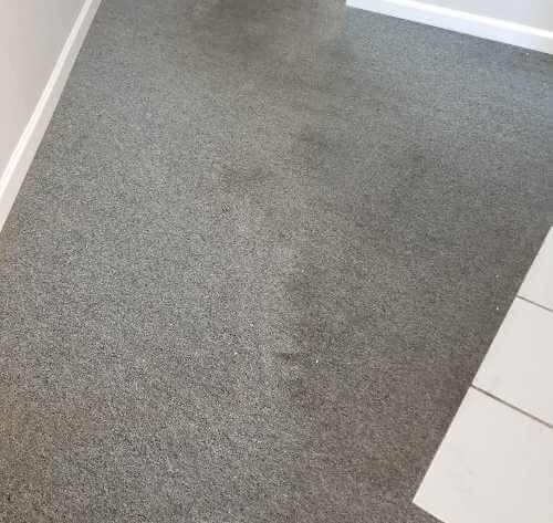 Carpet Cleaning Services San Diego