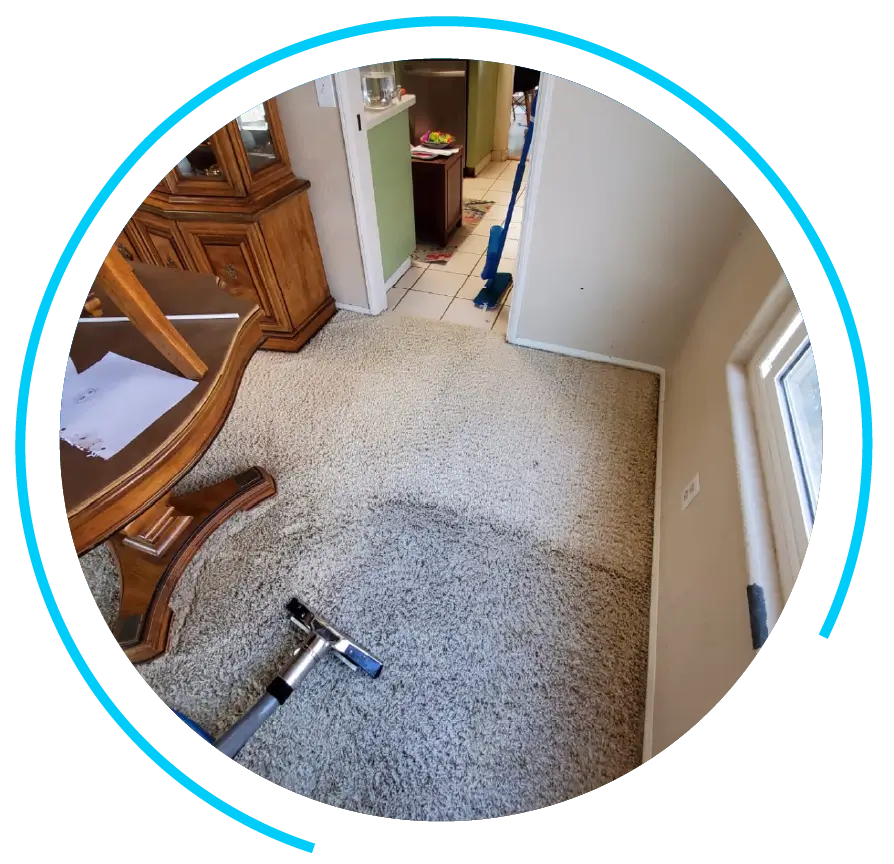 Carpet Cleaning Service in Rancho Bernardo