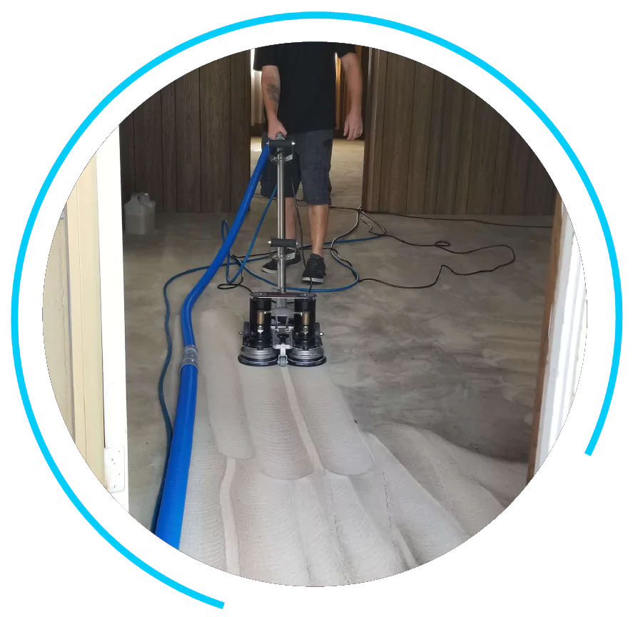 Exceptional carpet cleaning