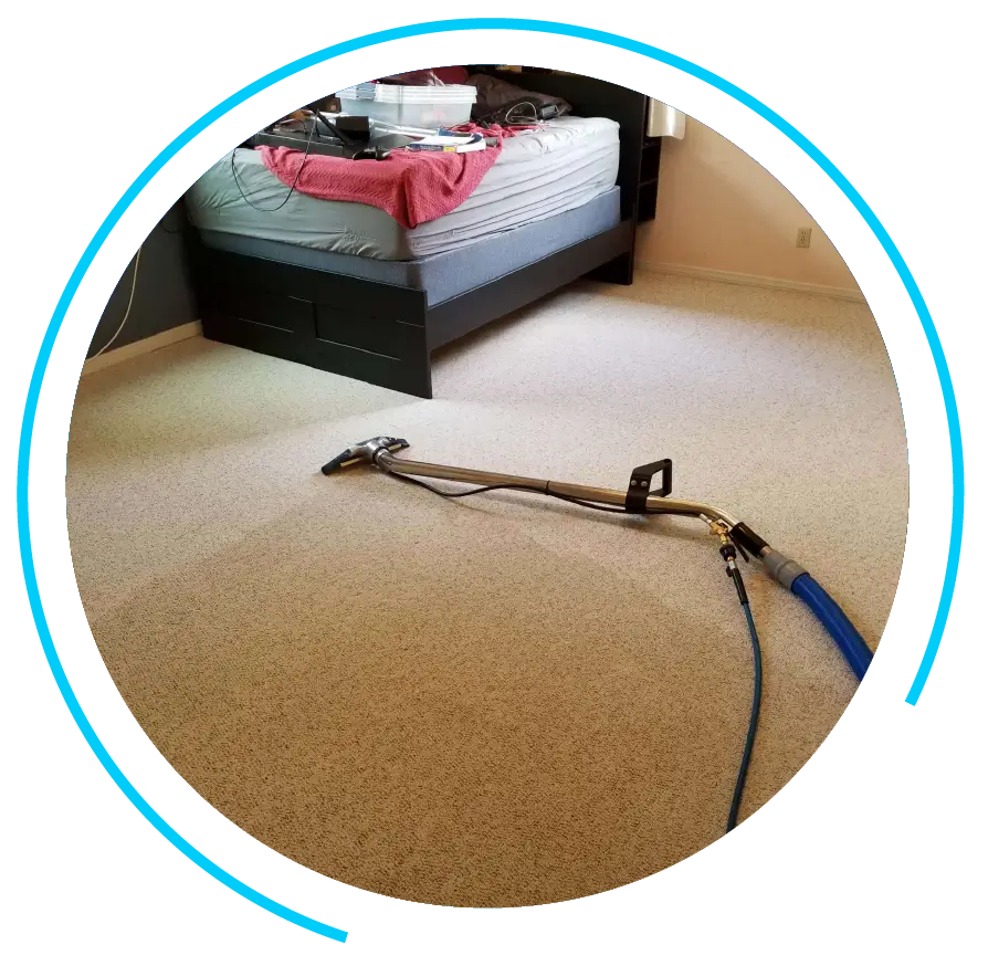 Professional Carpet Cleaning in Del Mar