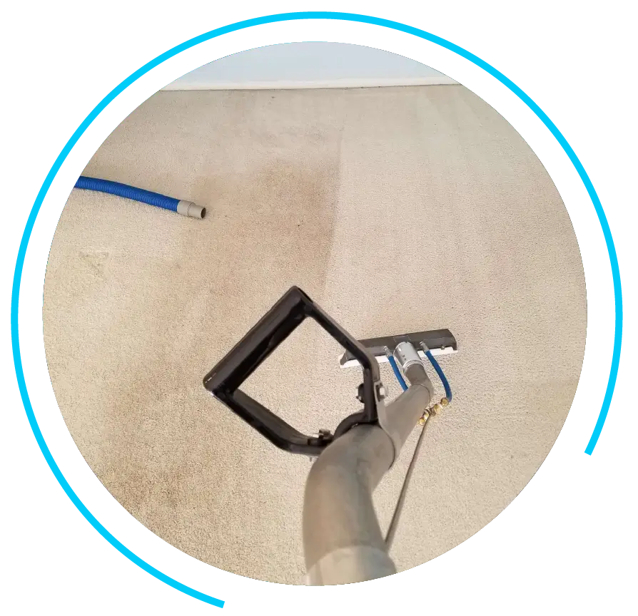 Professional Carpet Cleaning in Escondido