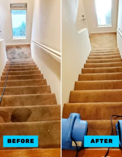 Before & After Carpet Cleaning