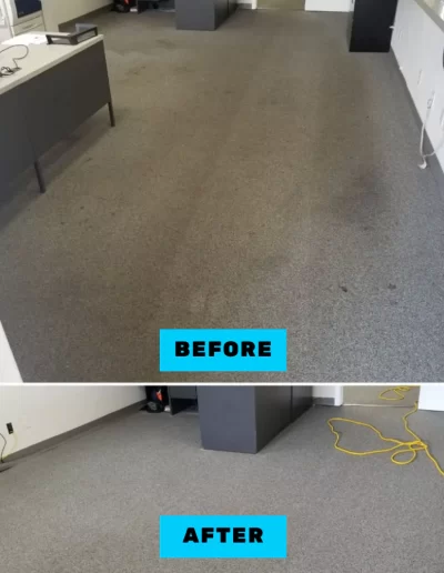 Before & After Carpet Cleaning