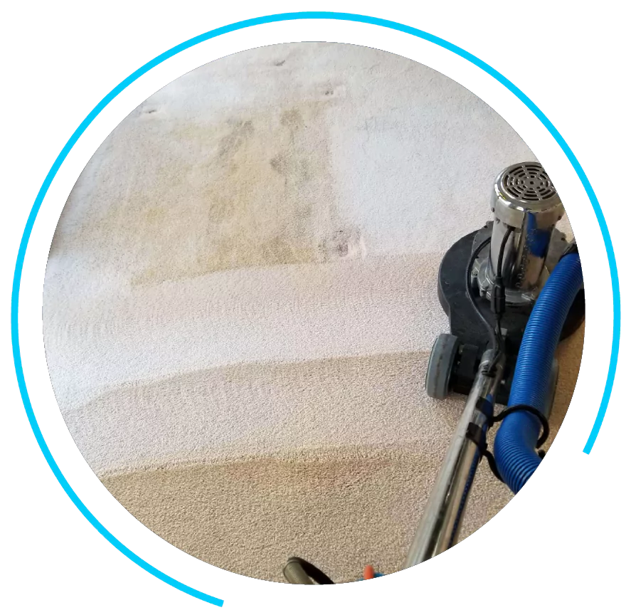 carpet-cleaning-in-carlsbad-ca