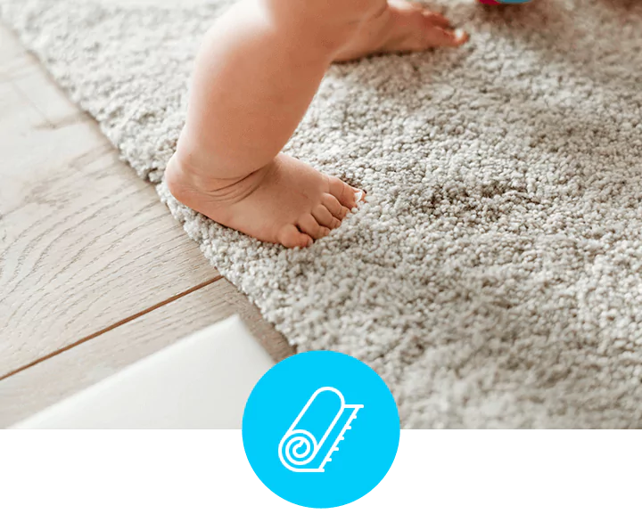 Carpet Cleaning