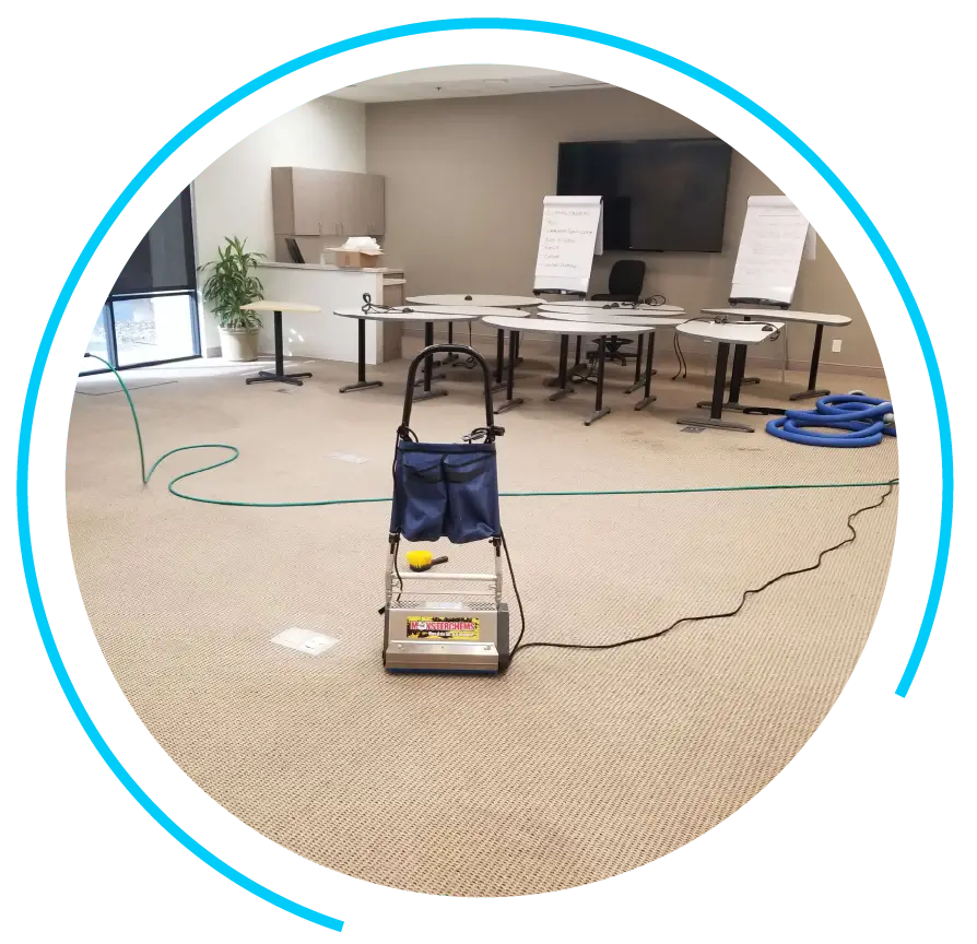 Professional Carpet Cleaning Services-1 Professional Carpet Cleaning Services-1