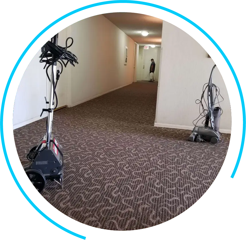 Professional Carpet Cleaning Services Professional Carpet Cleaning Services