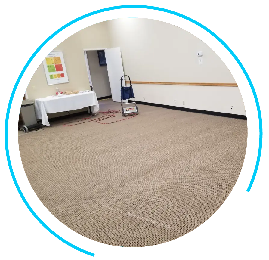 Professional Carpet Cleaning Services Professional Carpet Cleaning Services