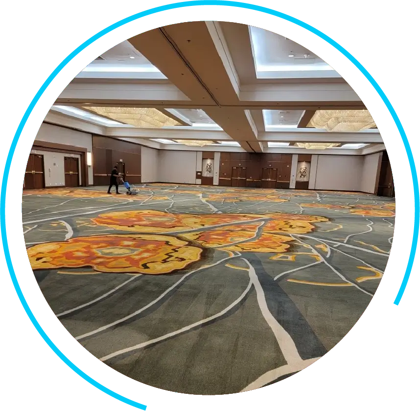 Professional Carpet Cleaning Service Professional Carpet Cleaning Services