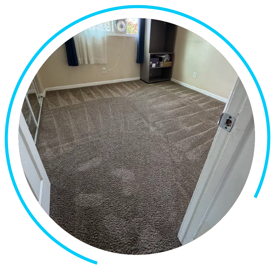 Trusted Carpet Cleaning Trusted Carpet Cleaning