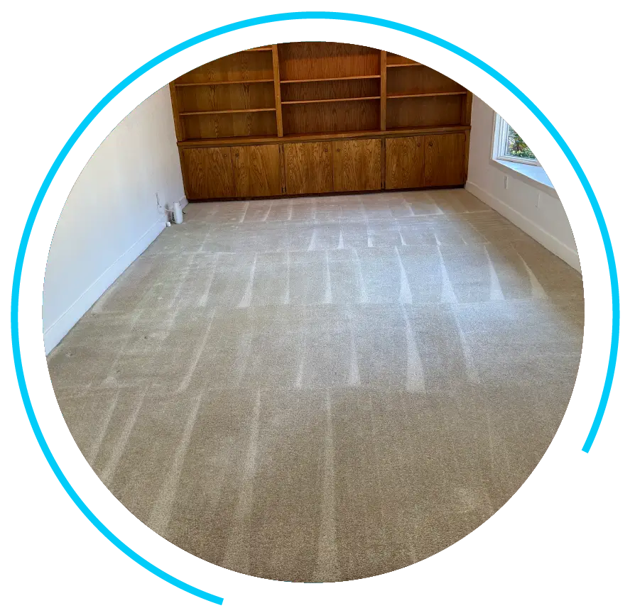 Professional Carpet Cleaning Professional Carpet Cleaning