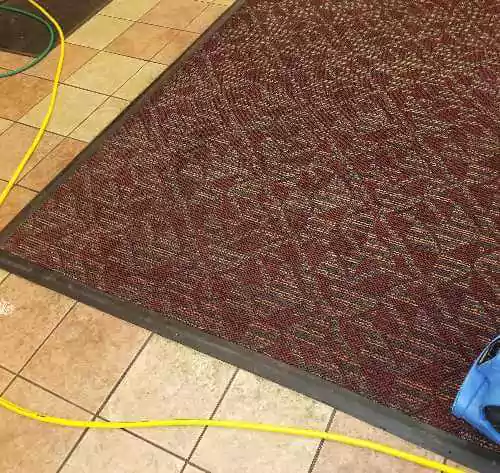 after-professional-carpet-cleaning