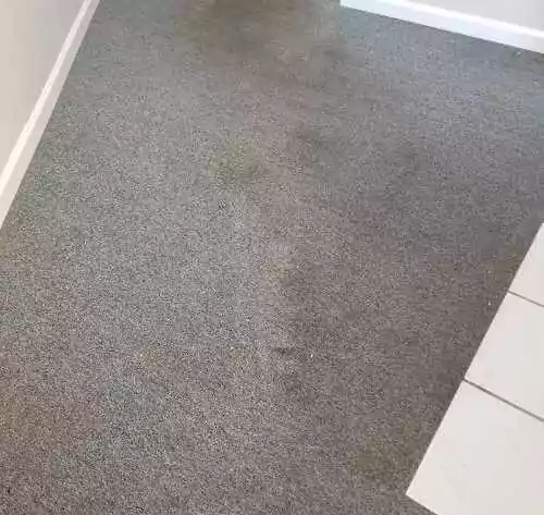 before-professional-carpet-cleaning-san-diego