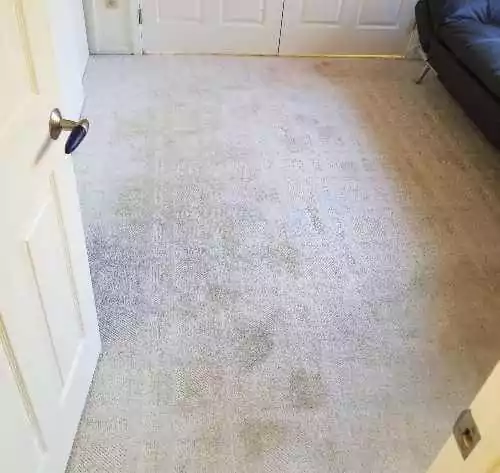 carpet-cleaning-before