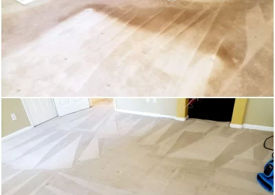 Carpet Cleaning Before & After