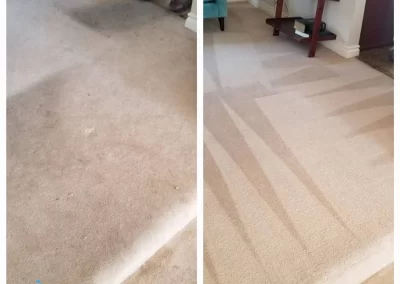 Carpet Cleaning Before & After