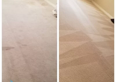 Carpet Cleaning Before & After