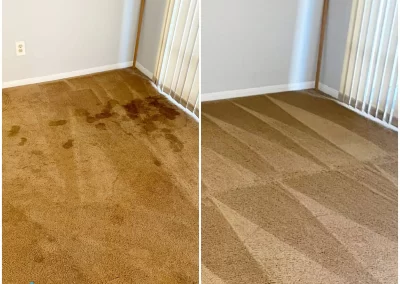 Carpet Cleaning Before & After