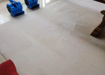 Carpet Cleaning Services near me