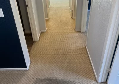 Carpet Cleaning Services near me