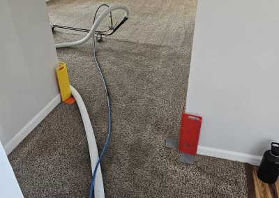 Carpet Cleaning Services near me