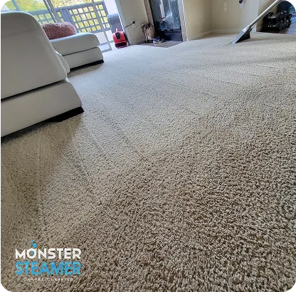 Carpet Cleaning