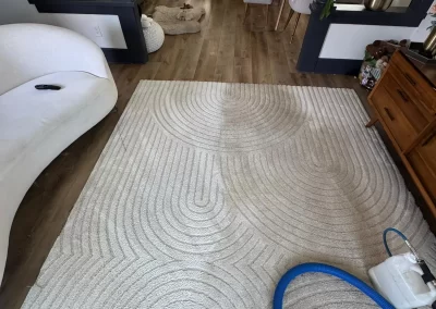 rug cleaning san diego