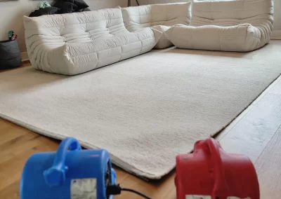 upholstery cleaning san diego
