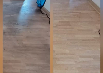 wood floor cleaning san diego