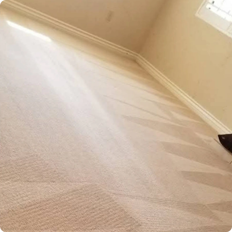 Carpet Cleaning After 01