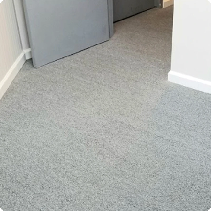 Carpet Cleaning After 02 Carpet Cleaning After 02