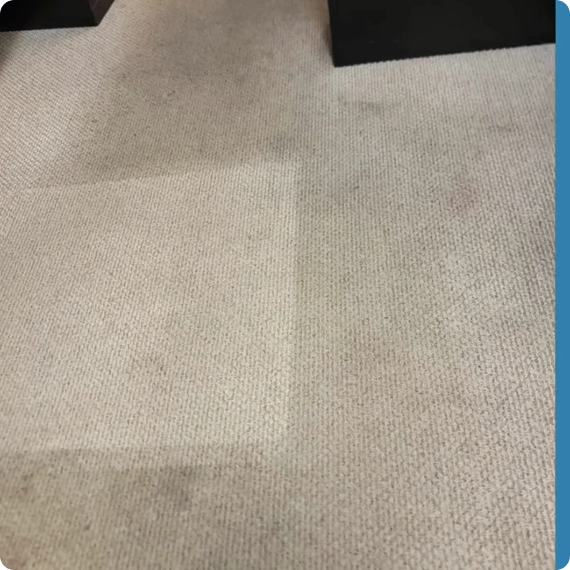 Carpet Cleaning After 03 Carpet Cleaning After 03