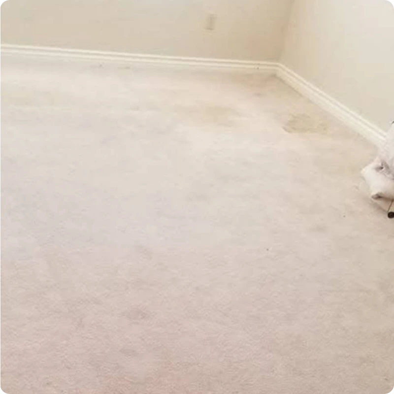 Carpet Cleaning Before 01