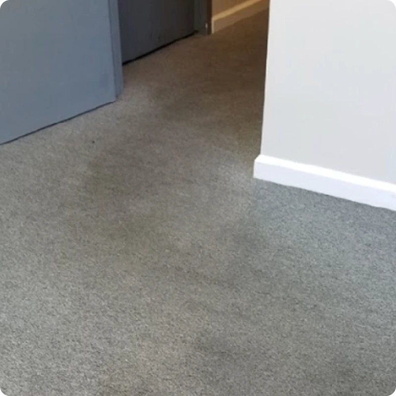 Carpet Cleaning Before 02 Carpet Cleaning Before 02