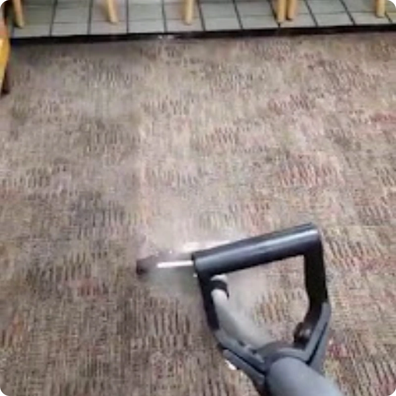 Carpet Cleaning Before 03 Carpet Cleaning Before 03