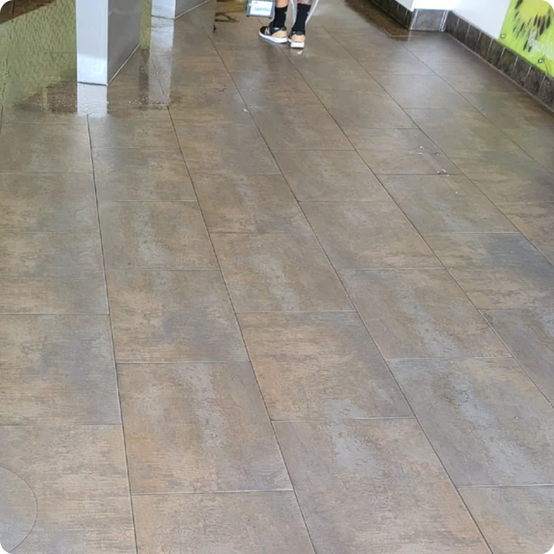 Tile and Grout Cleaning Before (4)