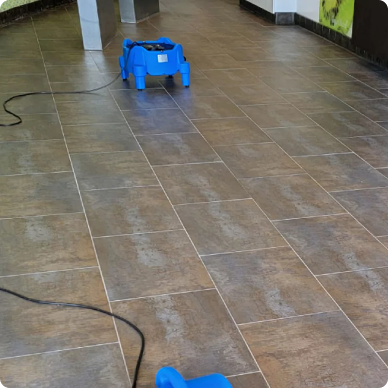 Tile and Grout Cleaning after (5)
