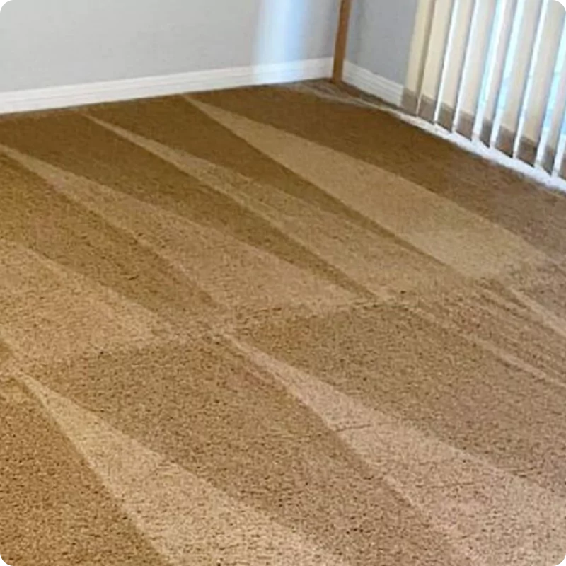 Water Damage Restoration img (5)