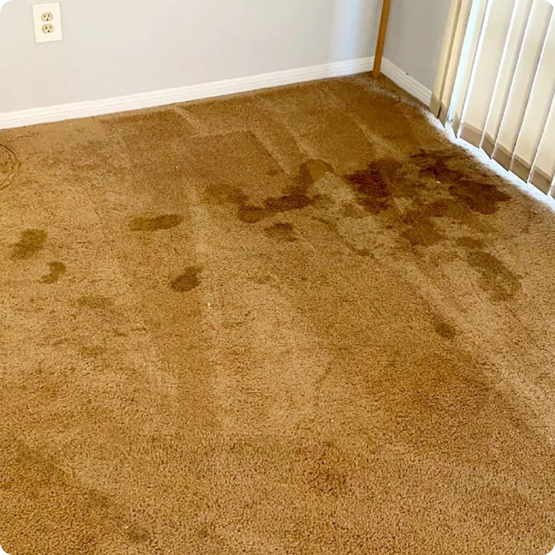 Water Damage Restoration img (7)