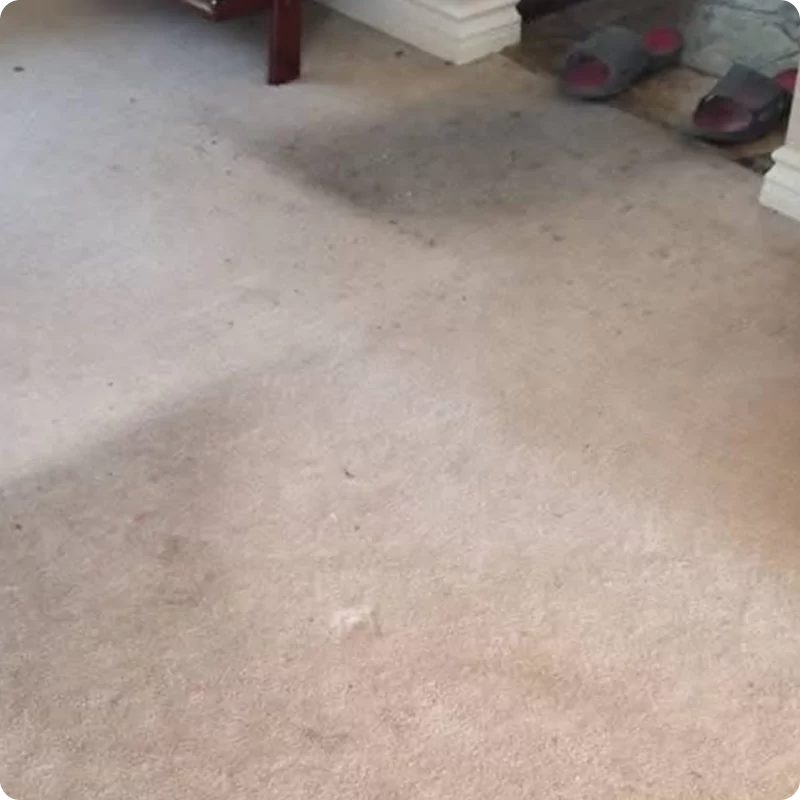 Water Damage Restoration img (8)