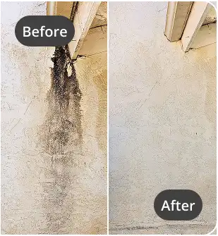 Before After carpet cleaning (10)