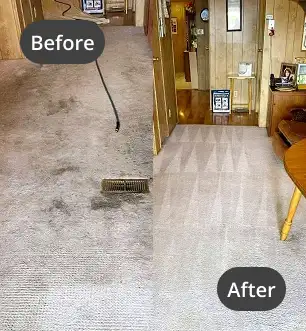 Before After carpet cleaning (7)