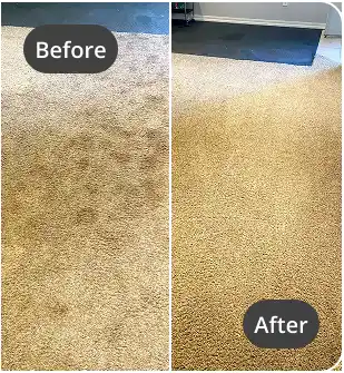 Before After carpet cleaning (9)