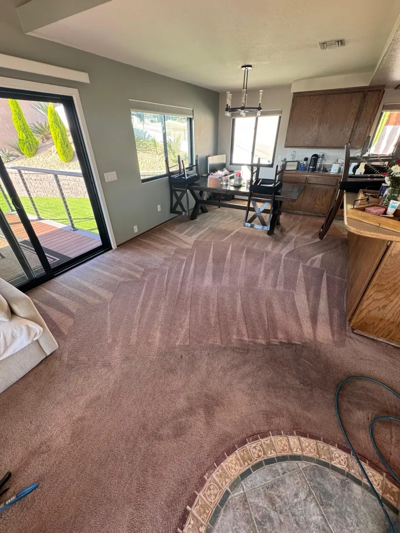 After Living Room Carpet Cleaning