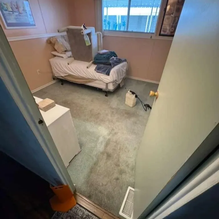 Before Bedroom Carpet Cleaning