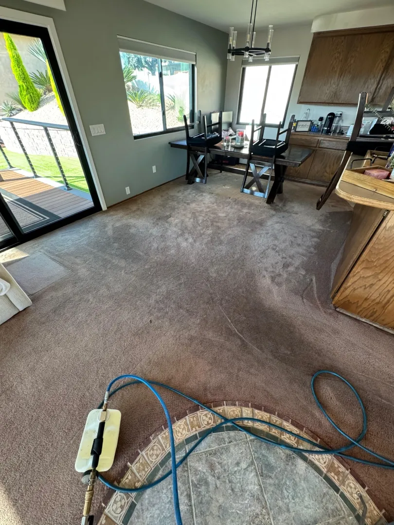 Before Living Room Carpet Cleaning