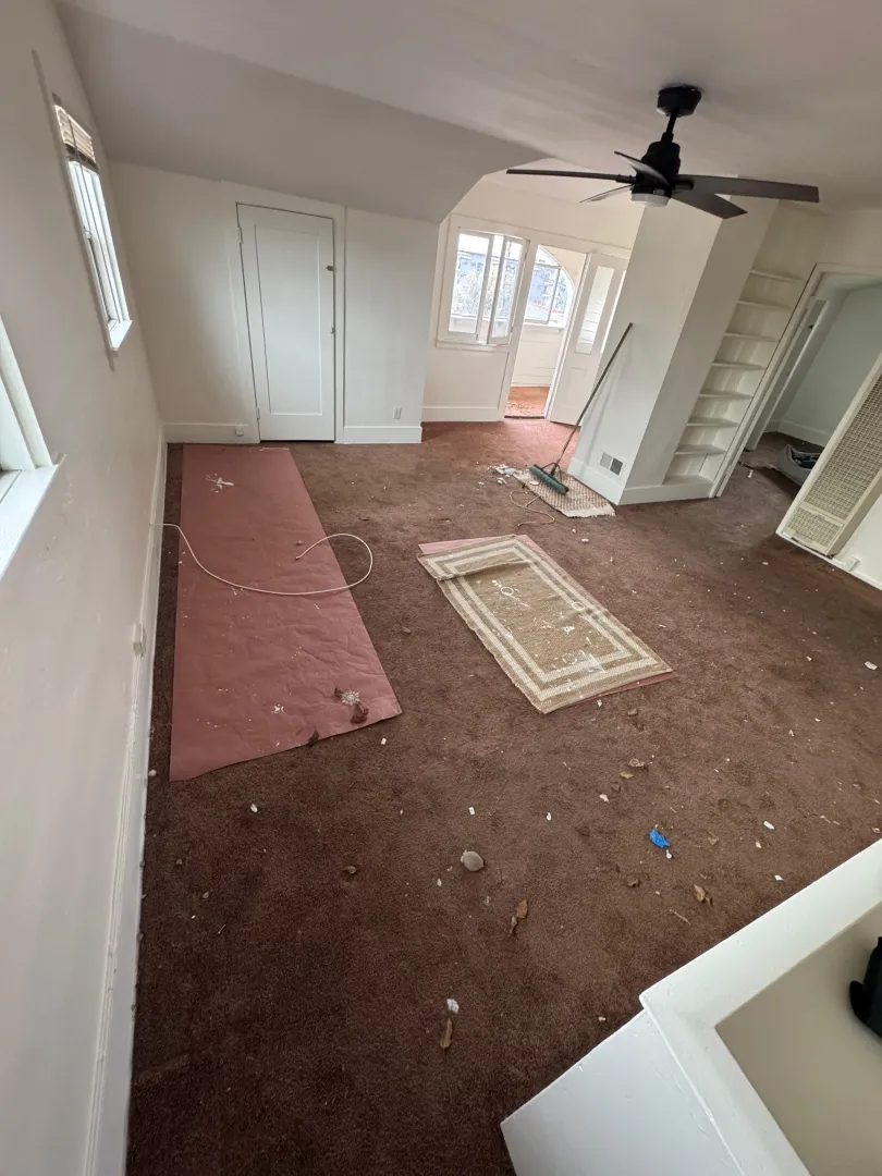 Before Room Carpet Cleaning