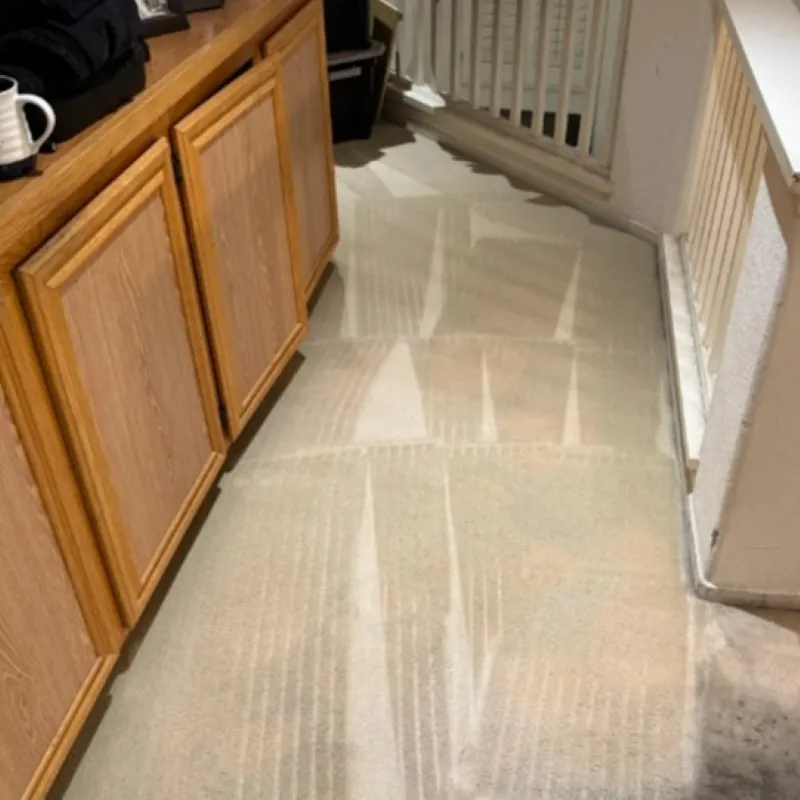 Heavily Stained Carpet Cleaning After