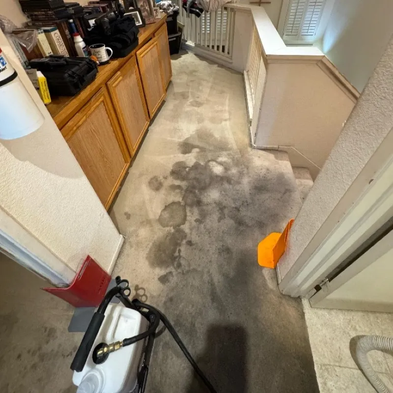 Heavily Stained Carpet Cleaning Before